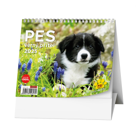 Kalendář stolní MINI - Pes,věrný přítel / BSL7