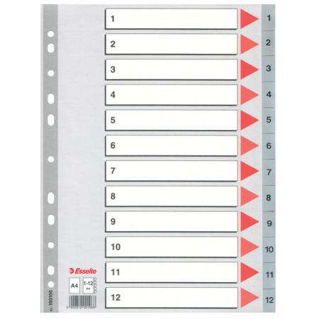 Rozdružovač A4 plastový šedý Esselte  -  1 - 12